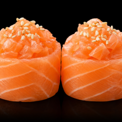 Gunkan Shake salmone