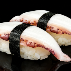 Nigiri Polpo