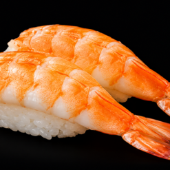 Nigiri Ebi