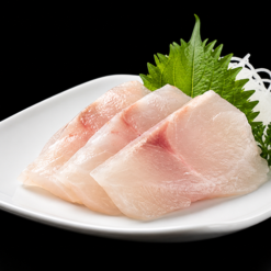 Sashimi Shiromi